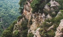 阴森林在线观看,在线惊悚之旅，揭秘神秘森林的恐怖传说